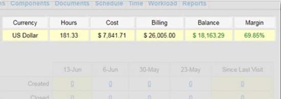 Project Management Financial Tracking