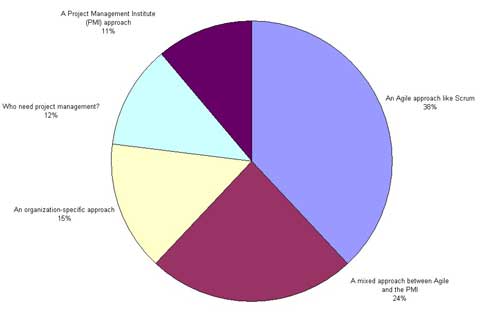 project management approach used by software development projects