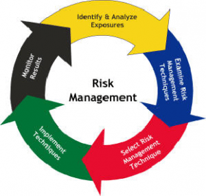 Risk Management in Software Development Projects