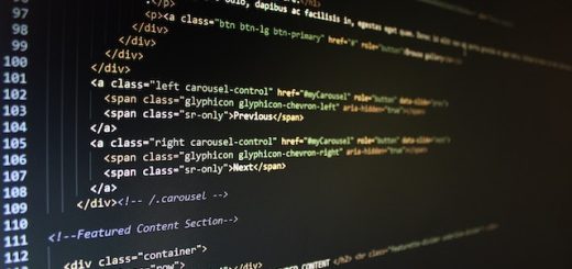 Robust or Resilient Software Development Project Plans
