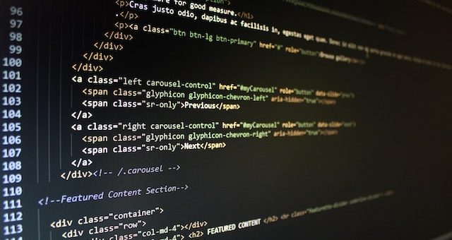 Robust or Resilient Software Development Project Plans
