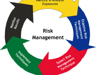 Risk Management in Software Development Projects