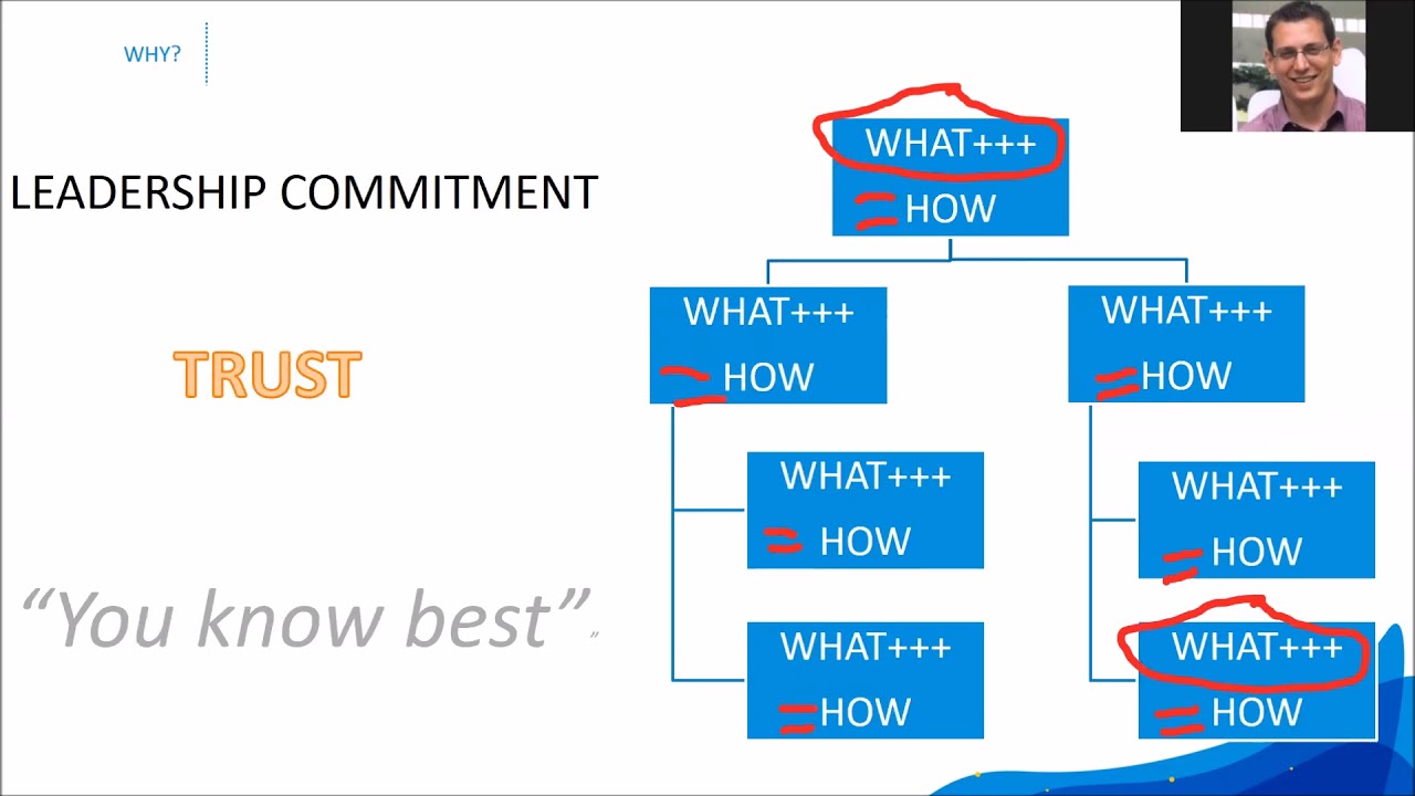 Inside a Holacracy Implementation