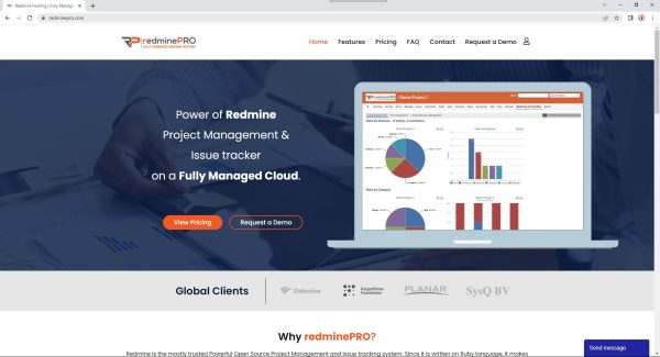 Redmine Hosting Providers