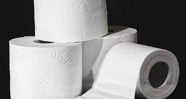 The Toilet Paper Theory Applied To Software Development
