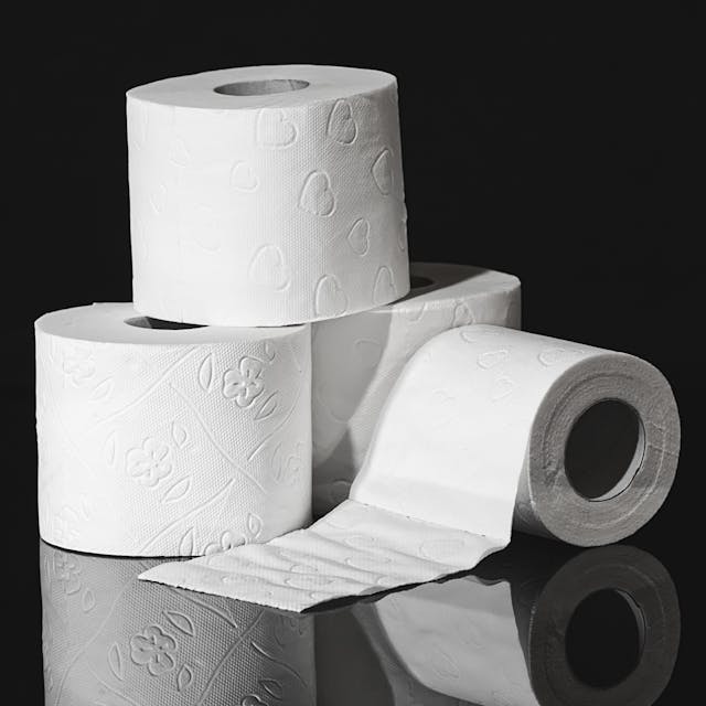 The Toilet Paper Theory Applied To Software Development